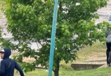 Delincuentes ingresaron a un barrio semicerrado en La Plata, robaron en dos casas y balearon a un vecino