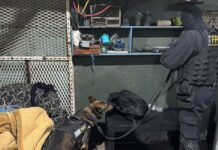 Desbarataron una red de clanes familiares detrás del tráfico de drogas en barrios de Córdoba