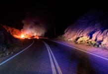 Dos muertos y 4 heridos tras el choque e incendio de dos camiones en Mendoza