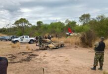 El momento de la caída de la avioneta narco en Salta y el curioso hallazgo en la cabina