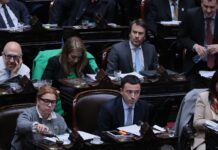 Gráfico interactivo: quiénes fueron los diputados más “rebeldes” y cuál fue el bloque más cercano al Gobierno