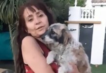 La ex fiscal procesada por beneficiar a un capo narco fue sobreseída de una causa por falso testimonio