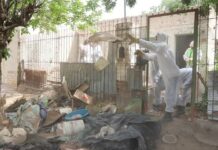 Neuquén: intervinieron la casa de una mujer de 80 años que era acumuladora