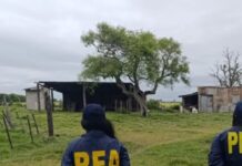 Pasó 10 años esclavizado en un campo: mataba animales para comer y tomaba agua de pozo