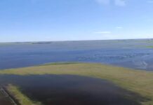 Patricia Bullrich criticó la gestión bonaerense por las inundaciones y anunció un operativo: “Esto es un desorden”