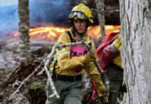 Se desataron tres incendios en el Parque Nacional Lanín por la fuerte actividad eléctrica durante una tormenta
