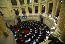 Senado: la Casa Rosada resiste una última sesión acordada antes de diciembre y tensiona con la oposición