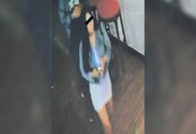 “Sofía”, la viuda negra reincidente: fueron a detenerla por desvalijar a un empresario, pero ya dormía en una cárcel